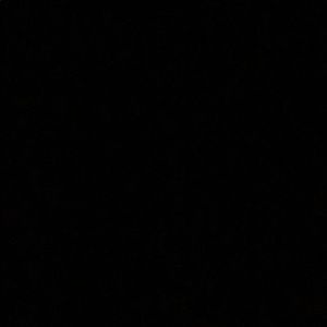 Meet your Posher, Noah